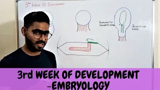 Third Week Of Human Development  GENERAL EMBRYOLOGY  urdu \ Hindi [upl. by Carmelina]