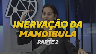 Parte 2 Tudo sobre a inervação mandibular [upl. by Nade226]