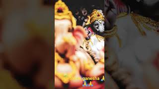 shree ganesh chaturthi short videoshorts video whatsappstatus ganesh [upl. by Adnowal]