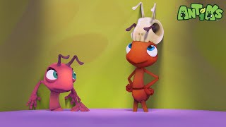 The Big Pitcher  ANTIKS  Moonbug Kids  Funny Cartoons and Animation [upl. by Nivar735]