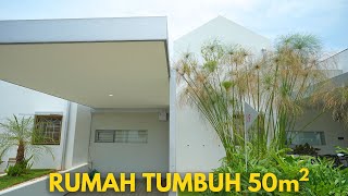 Rumah Mungil 50 Meteran Buat Masa Depan [upl. by Ednihek58]