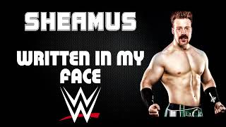 WWE  Sheamus 30 Minutes Entrance Theme Song  quotWritten In My Facequot [upl. by Annoet]