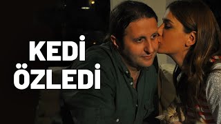 Kedi Özledi  Tek Parça Film Yerli Komedi [upl. by Ahsyt]