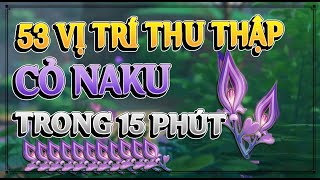 GENSHIN IMPACT 53 VỊ TRÍ THU THẬP CỎ NAKU TRONG 15 PHÚT [upl. by Harbour]