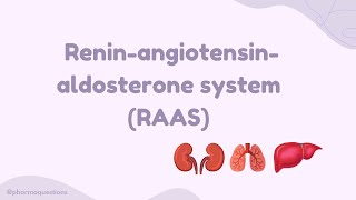 RAAS reninangiotensinaldosterone system [upl. by Undry212]