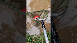 Arizona canal fishing Canal fishing arizona arizona canal catfish canal bass fishing [upl. by Amelus]