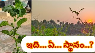 జీవితంలో  ఏ విలువ స్థానం  lifefacts life lifelessons lifecoach [upl. by Rehtae]