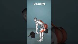 Proper deadlift form [upl. by Howund]