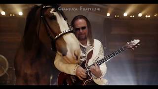 quotBudweiserquot Super Bowl Commercial with 3D Horses  We will rock you  Queen [upl. by Sirej]