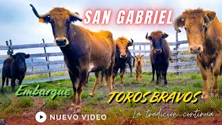 Embarque de Toros bravos Ganaderia SAN GABRIEL🐂🤠🎊🇪🇨 [upl. by Bust]