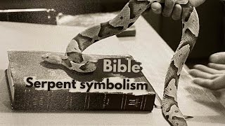 Serpent in BIBLE [upl. by Hallagan]