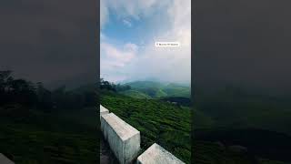 munnar keralatourism kerala idukkitourism trendingshorts nature travel trending malayalam [upl. by Hirza660]