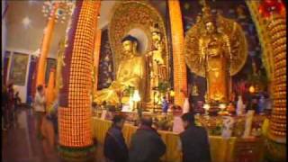 International Buddhist Temple introduction video English [upl. by Ihskaneem466]