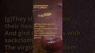 Lamentations 2912 NKJV [upl. by Quinby201]