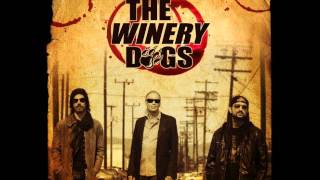 The Winery Dogs  Im No Angel [upl. by Lanod540]