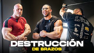 ENTRENO completo de BRAZOS y ABS  ACTUALIZACIÓN [upl. by Ferna]