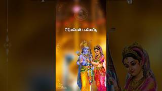 Kalyanam Vybhogam Lyrical  Srinivasa Kalyanam Songs  spbalasubrahmanyam spb [upl. by Aicina68]