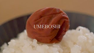 Umeboshi 🍑 Japanese pickled plums [upl. by Bryanty]