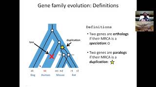 MIT CompBio Lecture 20  Phylogenomics [upl. by Dunton]