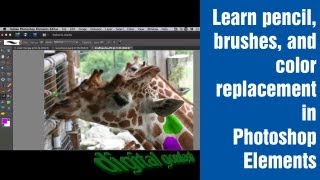 Learn Photoshop Elements  Lesson 5 [upl. by Sevart]