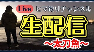 【9月18日】21時頃から太刀リベンジやります！ [upl. by Ahseikal476]