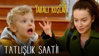 Tatlışlık Saati  Yaralı Kuşlar 16 Bölüm [upl. by Amaleta393]