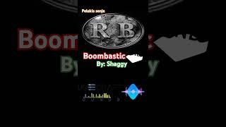 Boombastic  Shaggy reggae music rnb rock pop shaggy music clasic short trending jazz [upl. by Kubis]