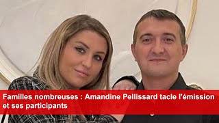 Familles nombreuses  Amandine Pellissard tacle lémission et ses participants [upl. by Nofets]