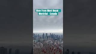 Mont Royal  Montrèal montreal canada views reels india travel niagarafalls shorts youtube [upl. by Ecertak]