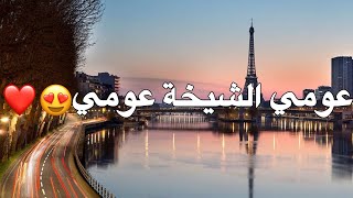 FAYCAL MIGNON 2024  3OUMI CHIKHA  عومي شيخة عومي  slowedreverb [upl. by Bergman]