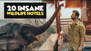 20 INSANE Wildlife Hotels [upl. by Ahslek137]