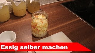 🍷 ApfelEssig selber machen 🍷 RezeptCheck Teil 1  Fermentastisch [upl. by Damien134]