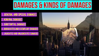 Damages and Kinds of Damages  Liquidated and Unliquidated Damages [upl. by Sheets]