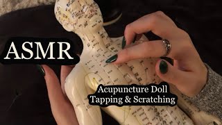 ASMR Gentle Tapping amp Scratching On An Acupuncture Doll No Talking [upl. by Angid]