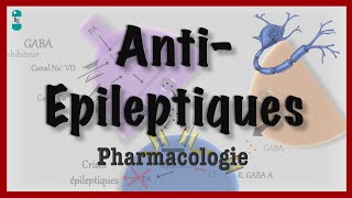 Les Antiépileptiques dans lEpilepsie  Pharmacologie [upl. by Aisena]