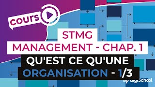 Chapitre 1  Quest ce quune organisation 13  Management Bac STMG  digiSchool [upl. by Eicyal]