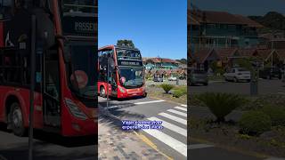 City Tour por Gramado e Canela Bustour Travel Trip Viagem RioGrandeDoSul Vlog [upl. by Kellia]