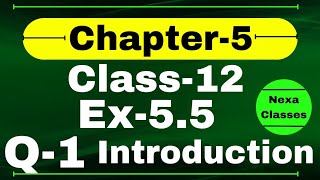 Class 12 Ex 55 Q1 Math  Differentiability  Q1 Ex 55 Class 12 Math  Ex 55 Q1 Class 12 Math [upl. by Lea]