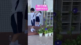 【東海大学付属静岡翔洋小学校】預かりの児童 水かけ shorts 東海大学 私立小学校 小学校 小学生 夏休み 学童 朝顔 [upl. by Ecirbaf]