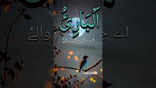 AlBari  Allah ke naam  ilmkiduniya ilmkibatein islamicstatus 99namesofallah shortvideo [upl. by Wakerly584]