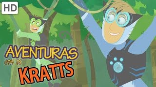 Aventuras com os Kratts HD Português  Sombra A Ona preta  Parte 1 [upl. by Anuaik]