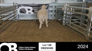 Lot 126  OB230426 [upl. by Tarr259]