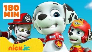 PAW Patrol  3 uur lang de BESTE momenten van Marshall  Nick Jr Nederlands [upl. by Ecart]