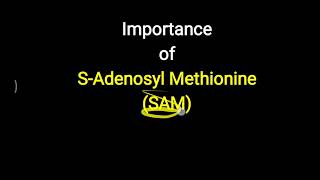 S adenosyl Methionine SAM [upl. by Lucien]