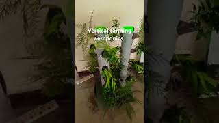 Vertical farming aeroponics working modelwater amp land consumption efficient agriculture agro [upl. by Liartnod320]