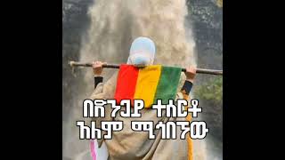 Ethiopia poem የሀገር ግጥም  አታንቢ ጦቢያዬ  ገጣሚ ማህሌት  Video lyrics  ጦቢያ ግጥም  Ethiopia gitim [upl. by Doowle]