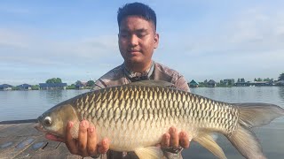 Big Hovens carp at Bungsamran  Thailand fishing [upl. by Ahsiekar]