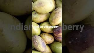 HartokiIndian gooseberrymyrobalan nature fruitsgood for health [upl. by Elsey617]