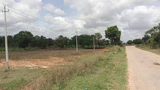 Lake near 2 acre land for sale 8618143750 Gundlupet [upl. by Haelem328]