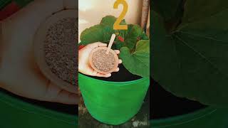 Three best organic fertilizer for plants  ये तीन खाद हम पौधों में बहुत ज्यादा इस्तेमाल करते हैं। [upl. by Dewitt372]